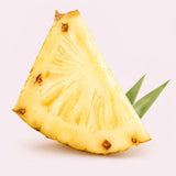 Lactobacillus crispatus